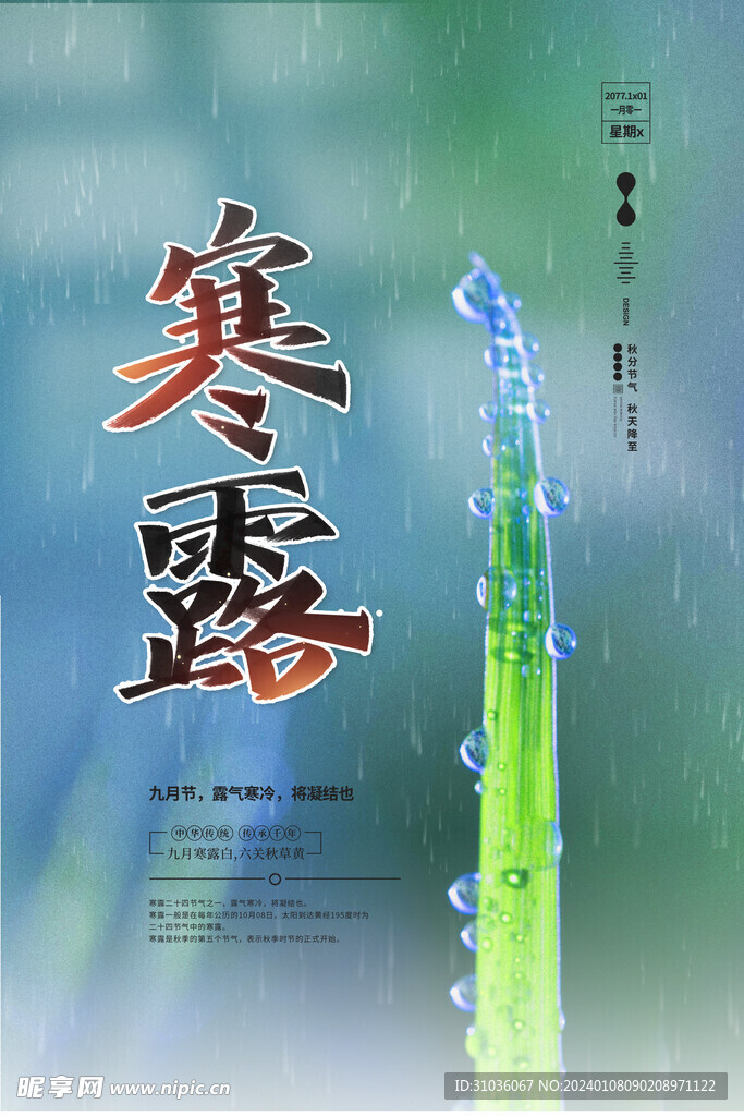 寒露图片