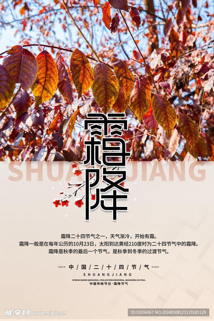 霜降海报图片