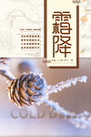 霜降海报图片