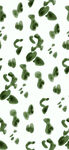 豹纹