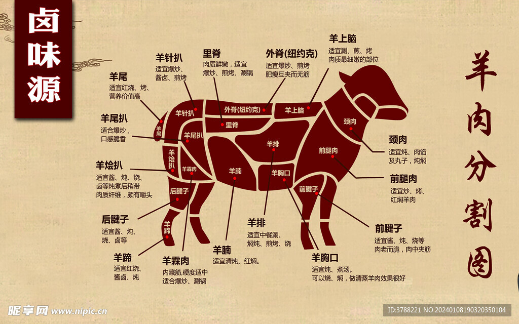 牛分割