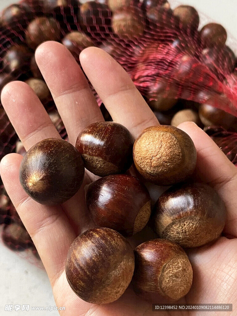 板栗