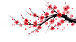 梅花