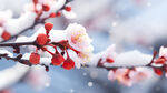 梅花