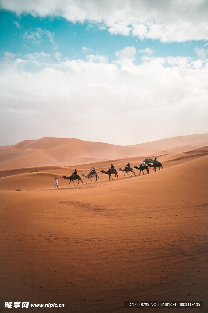 自然风景图片