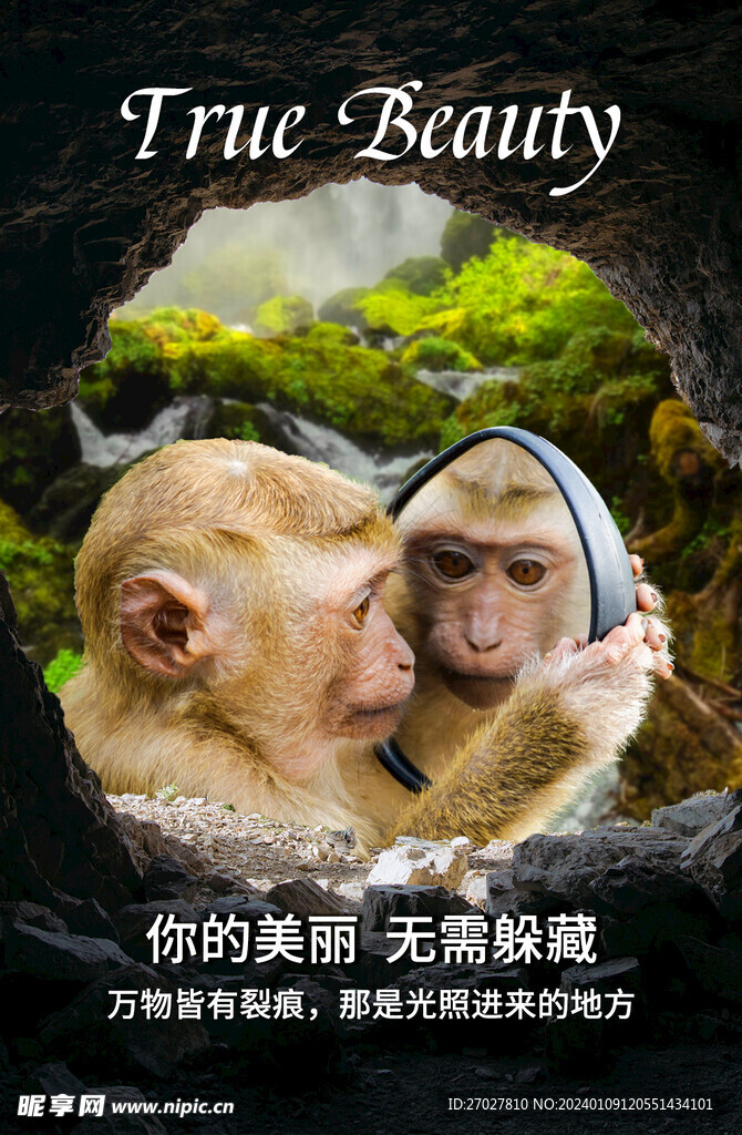猴子照镜子