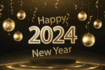 2024年