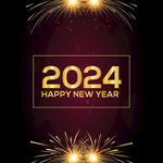 2024年