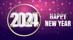 2024年