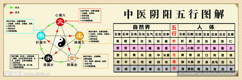 中医宣传