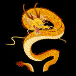 龙