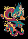 龙