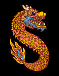 龙