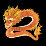 龙