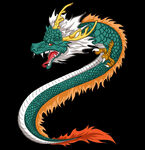 龙