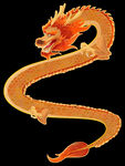 龙