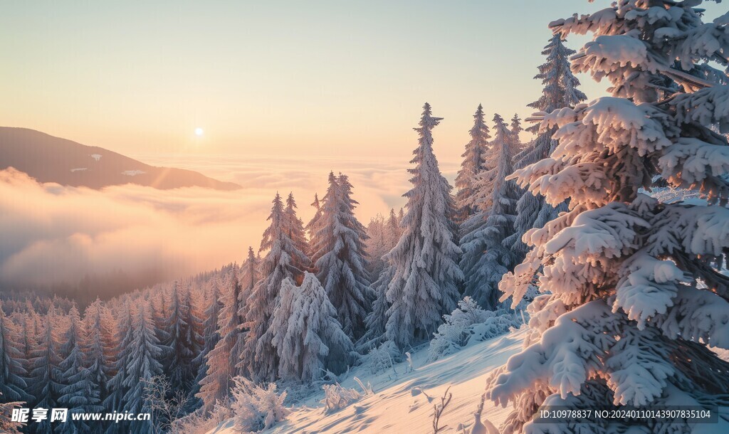 雪山松树