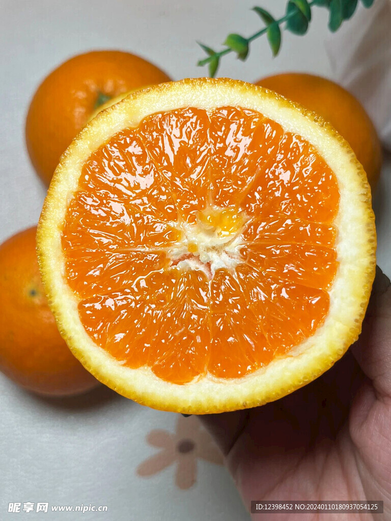 脐橙