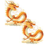 龙年