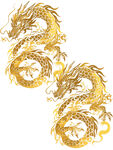 龙年