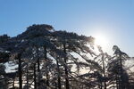 银光胜雪