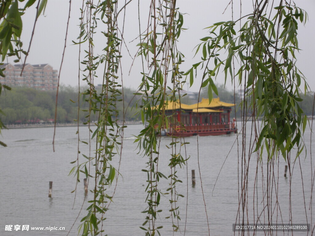 大明湖 风景