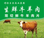 牛羊肉