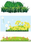 花草
