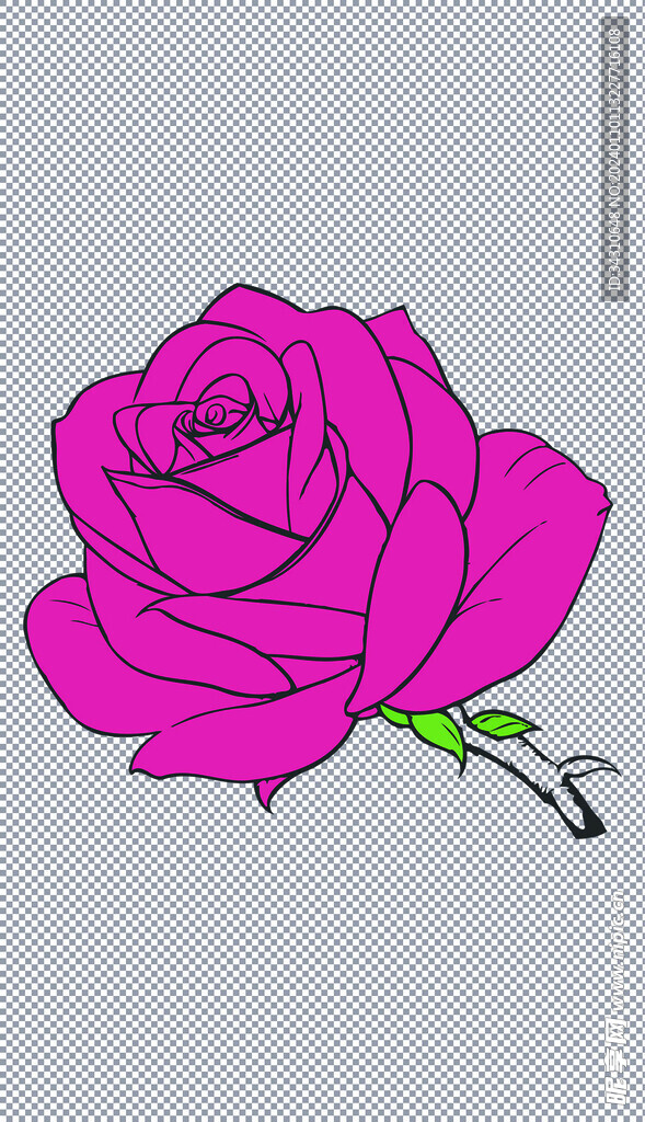 玫瑰花简笔画一朵花朵素描鲜花手