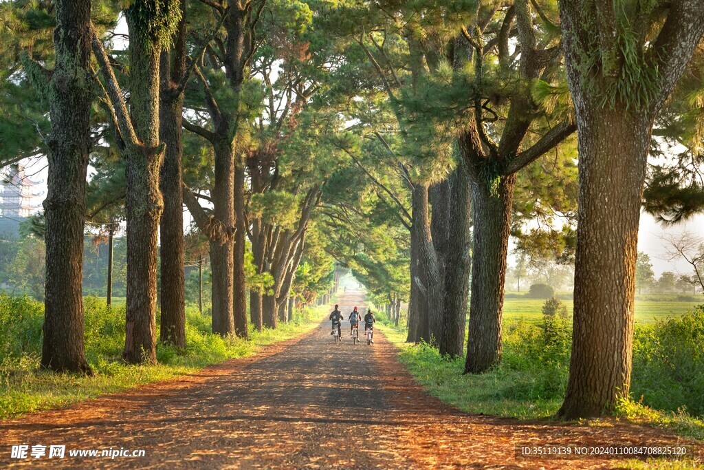 路边风景