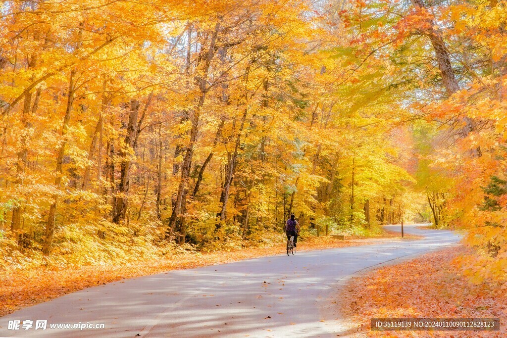 路边风景