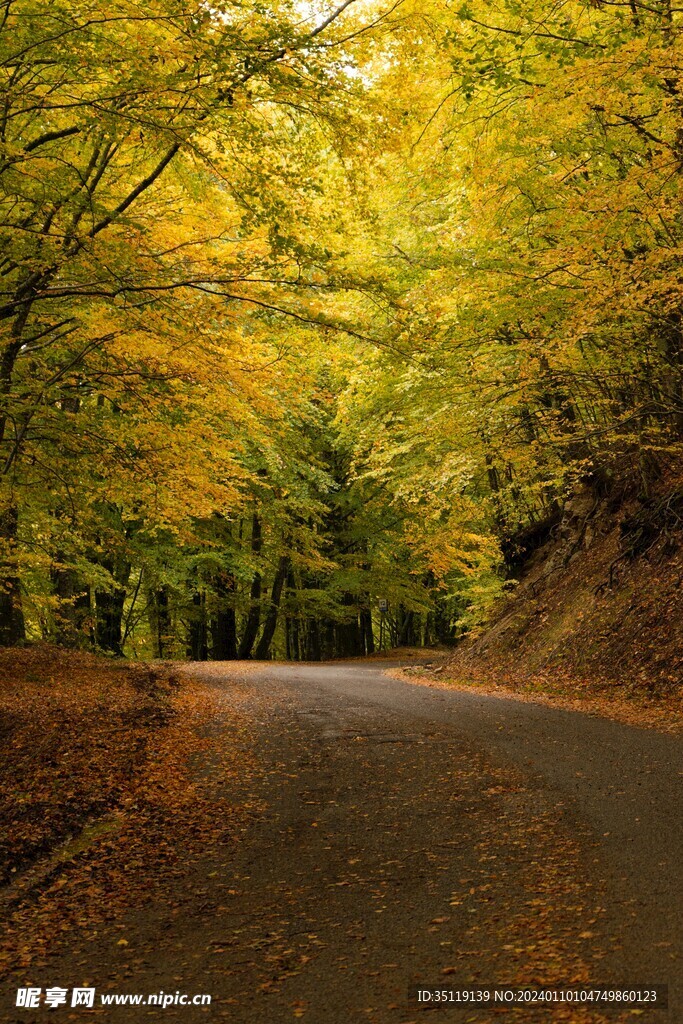路边风景