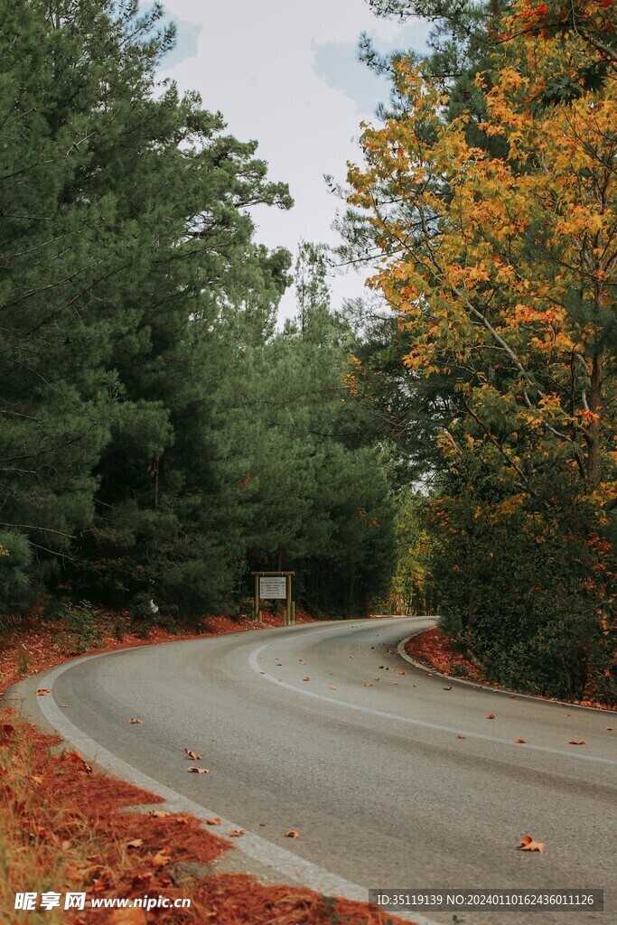 路边风景