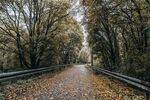 路边风景
