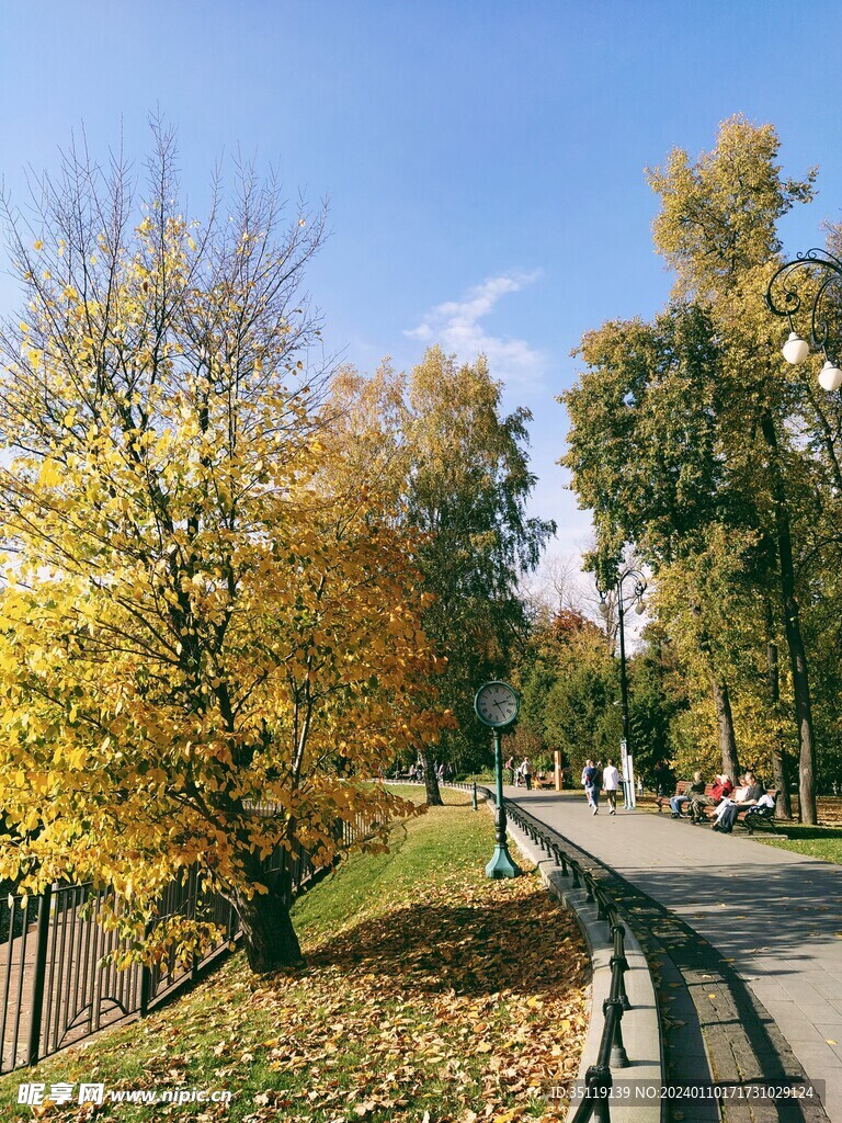 路边风景