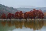 湖边风景