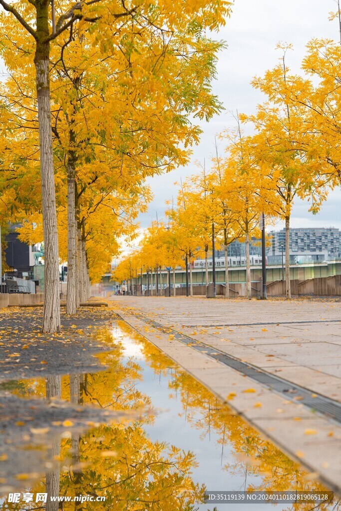 路边风景 