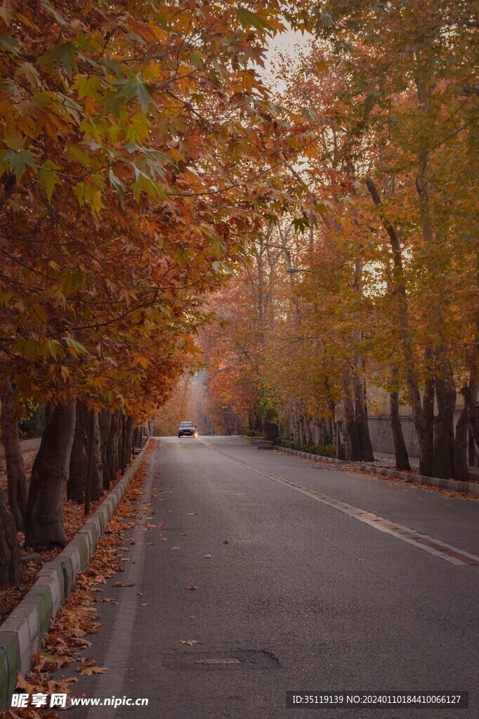 路边风景