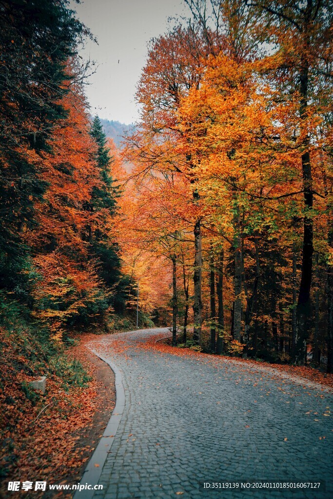 路边风景