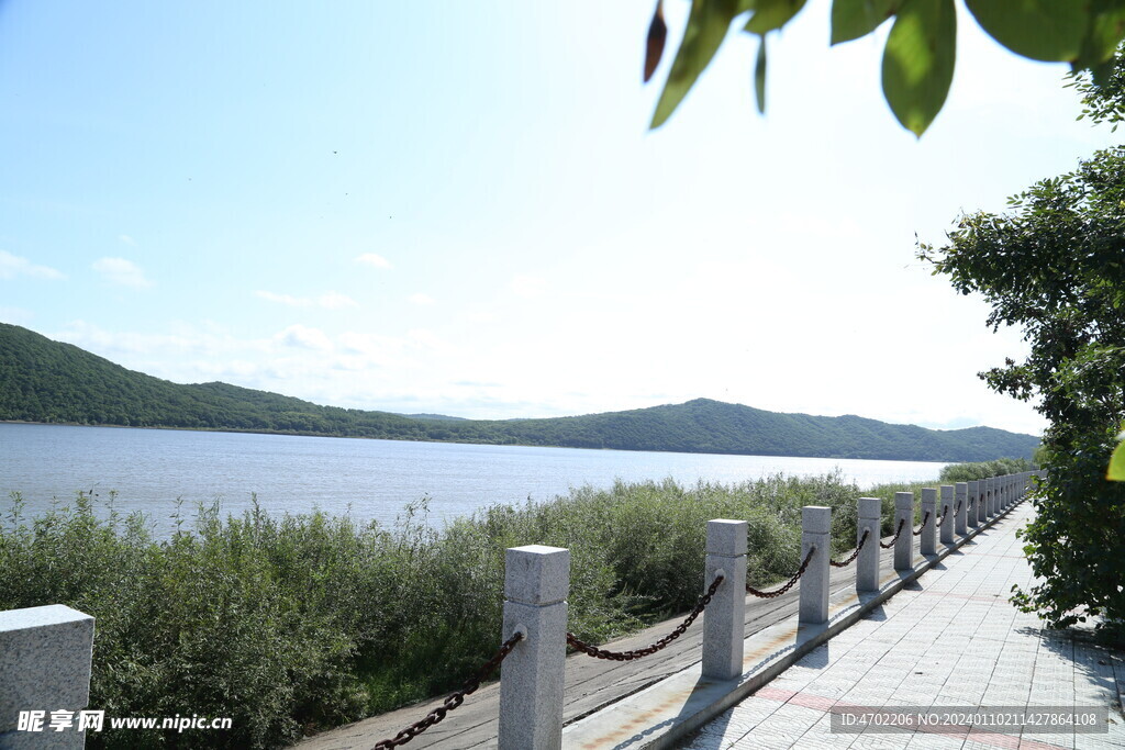 北方 河流 森林 天空 湿地