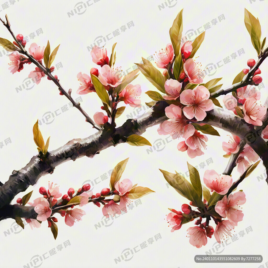 红色桃花树枝 大桃花枝
