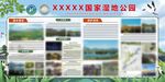 蓝天草地展板