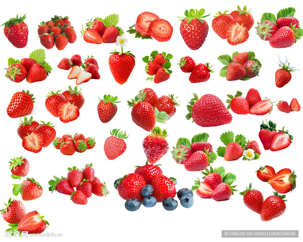 各种草莓