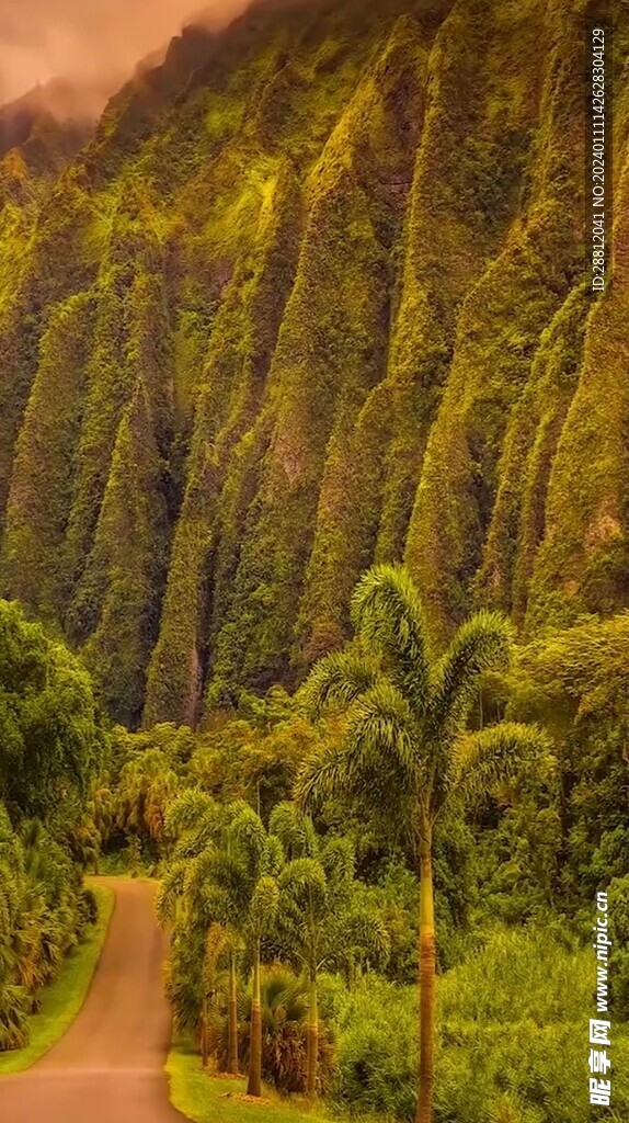 高清拍摄竖屏风景素材