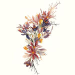 手绘花卉