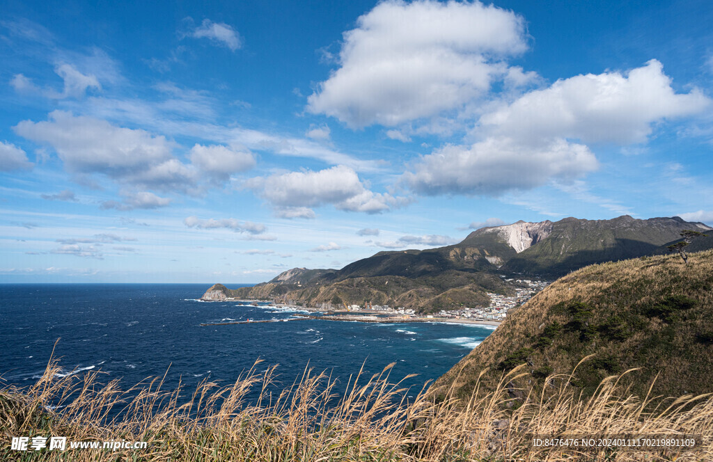 大海