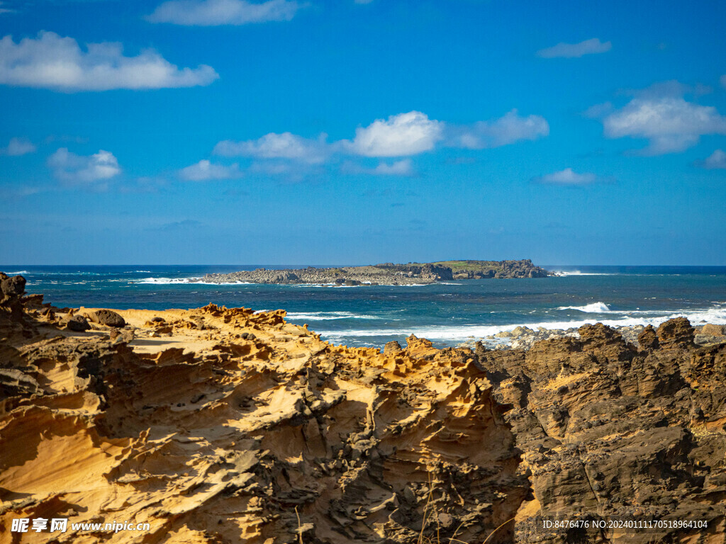 大海