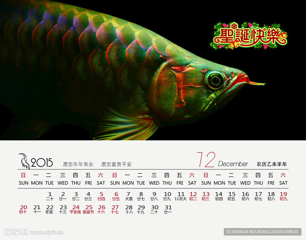 红龙鱼水族观赏鱼日历