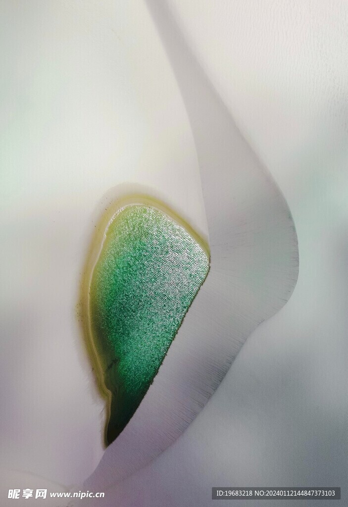沙漠绿洲