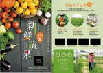 新鲜蔬果宣传单